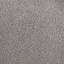 Bison 11